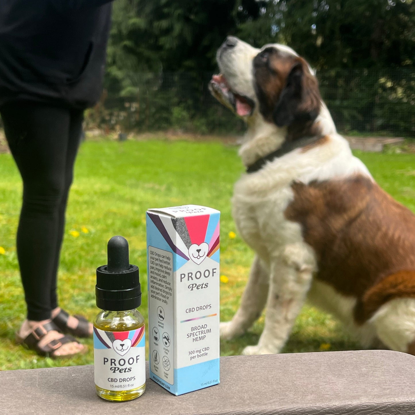 Proof Pets CBD Drops bottle and packaging with 300 mg broad spectrum hemp shown in front of a large dog outdoors, promoting pet wellness and calm.