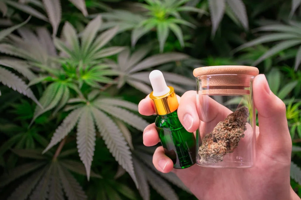 Best Broad-Spectrum CBD Brands (2026)