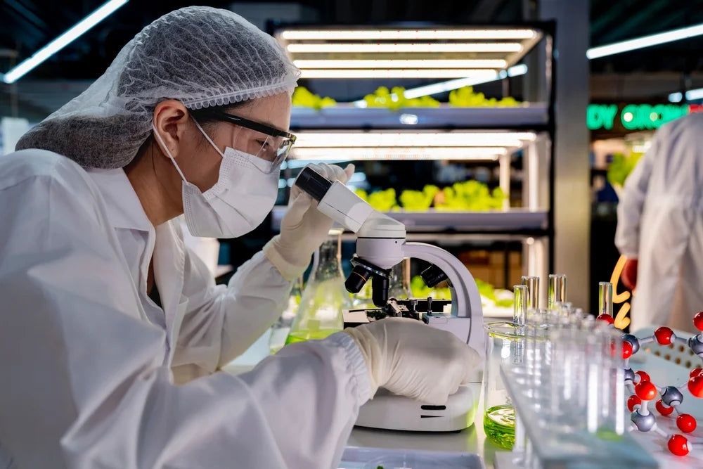 Best Lab-Tested CBD Brands (2026)