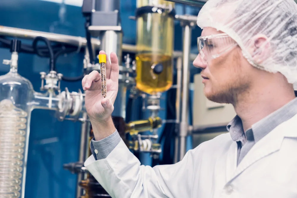 CBD Manufacturing Standards: What GMP, Organic and Hemp Certifications Mean