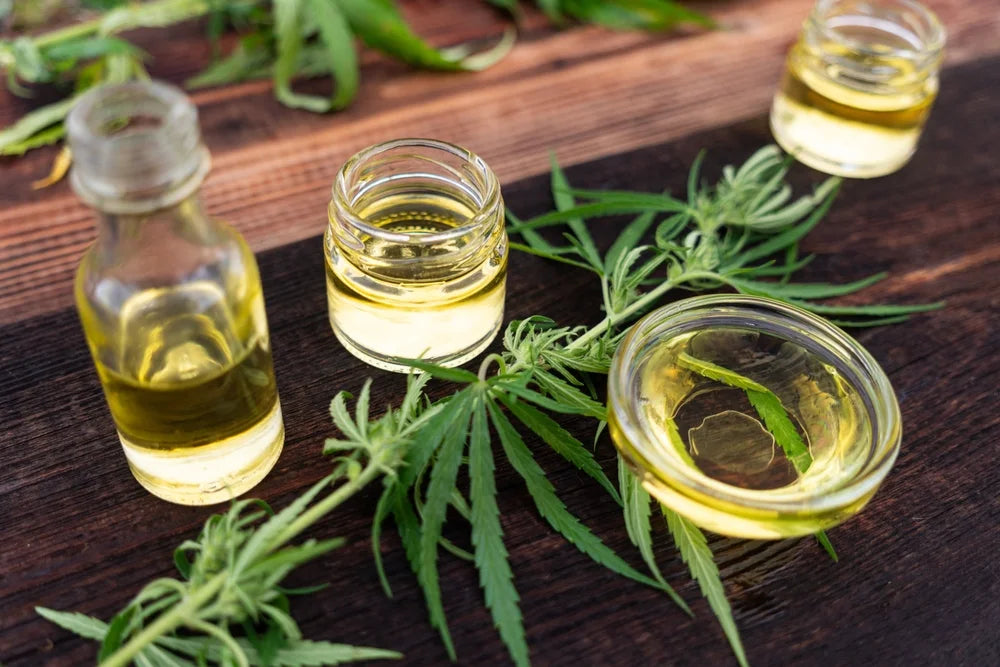 Hemp Oil vs CBD Oil vs Hemp Seed Oil: What's the Difference?