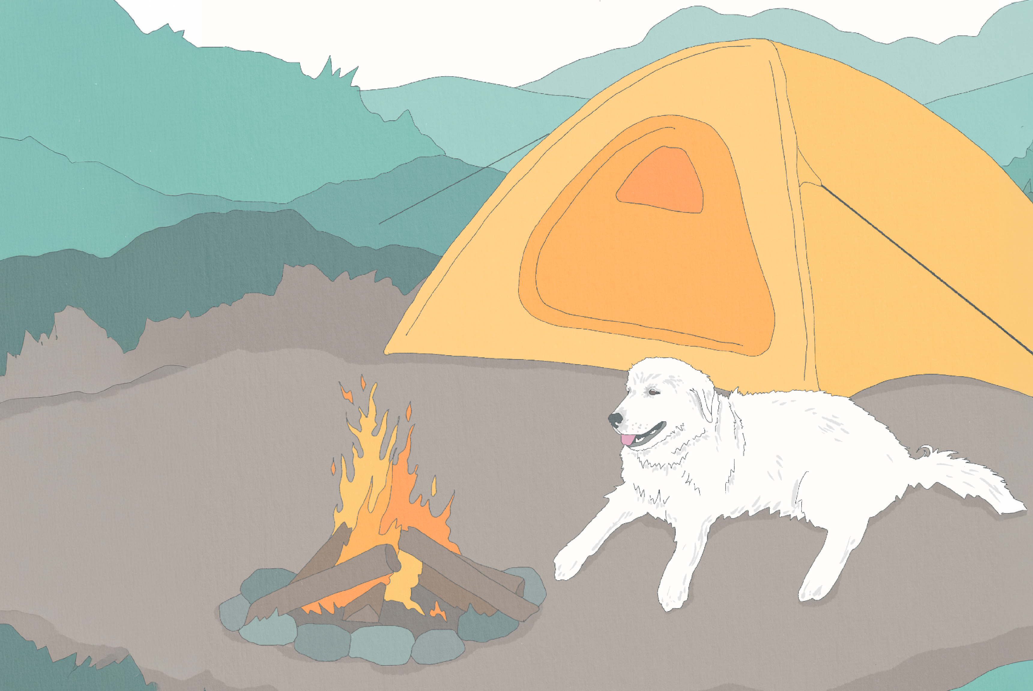 Ultimate Guide to Hiking and Camping with Your Dog