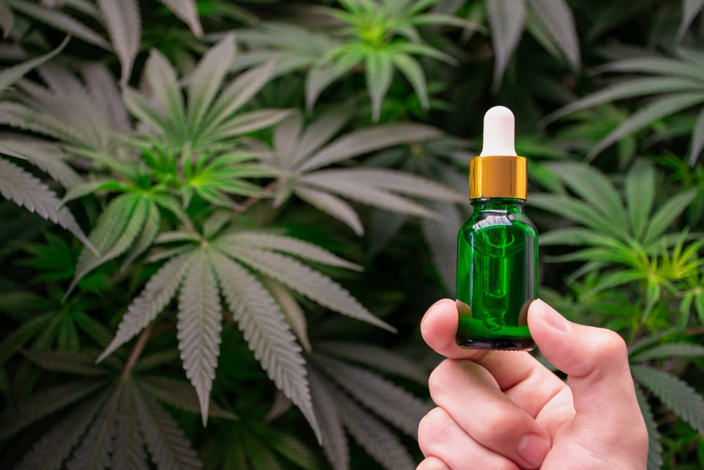 CBD Bioavailability: Why the Number on the Label Isn't the Number You Get