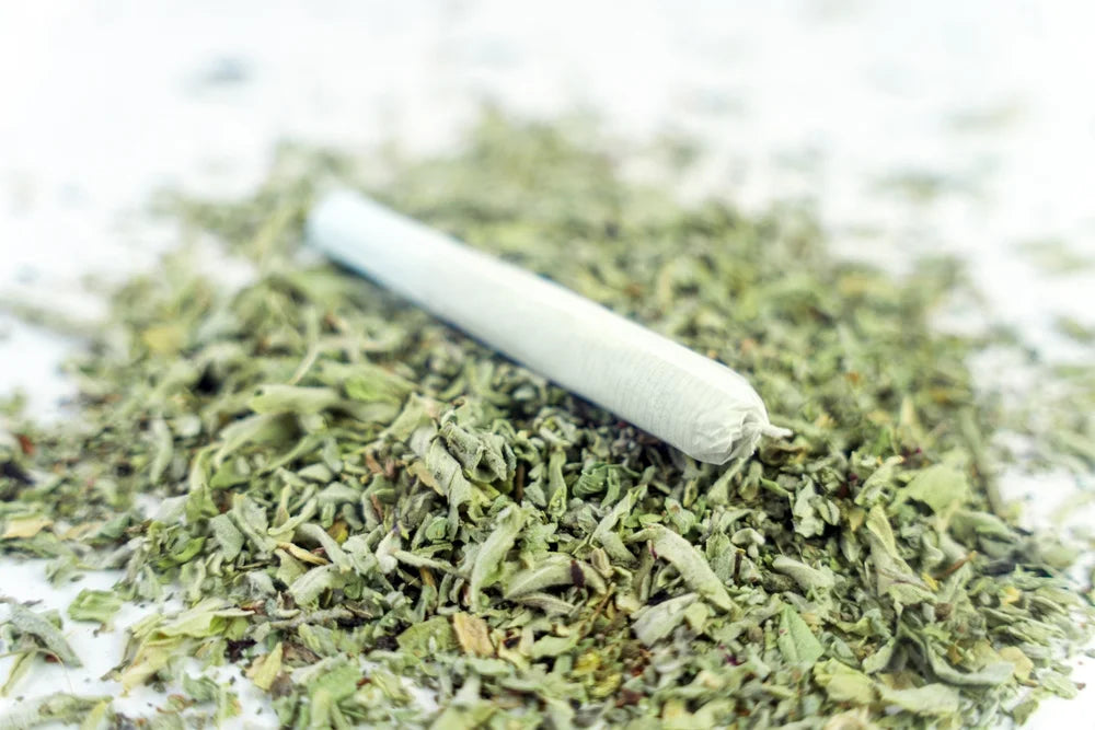 CBD Roll-On vs. Cream vs. Patch: Which Topical Format Works Fastest?