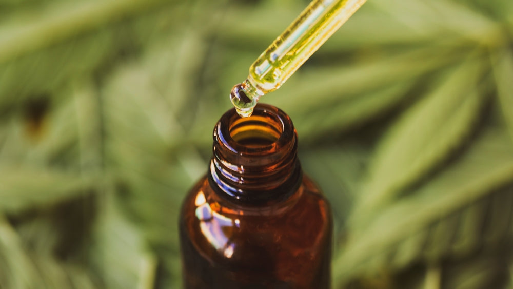 CBD vs THC: What's the Difference?