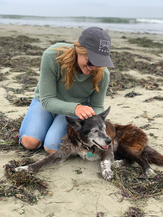 Honoring Vela: How CBD Helped My Senior Dog Live More Comfortably