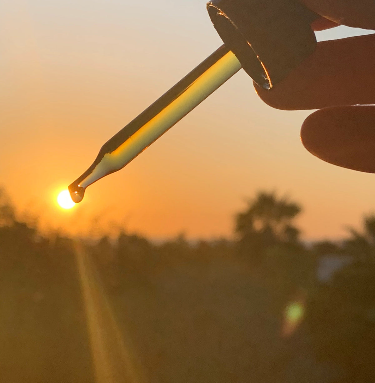 CBD + Stress: How CBD Supports Relaxation Without the High