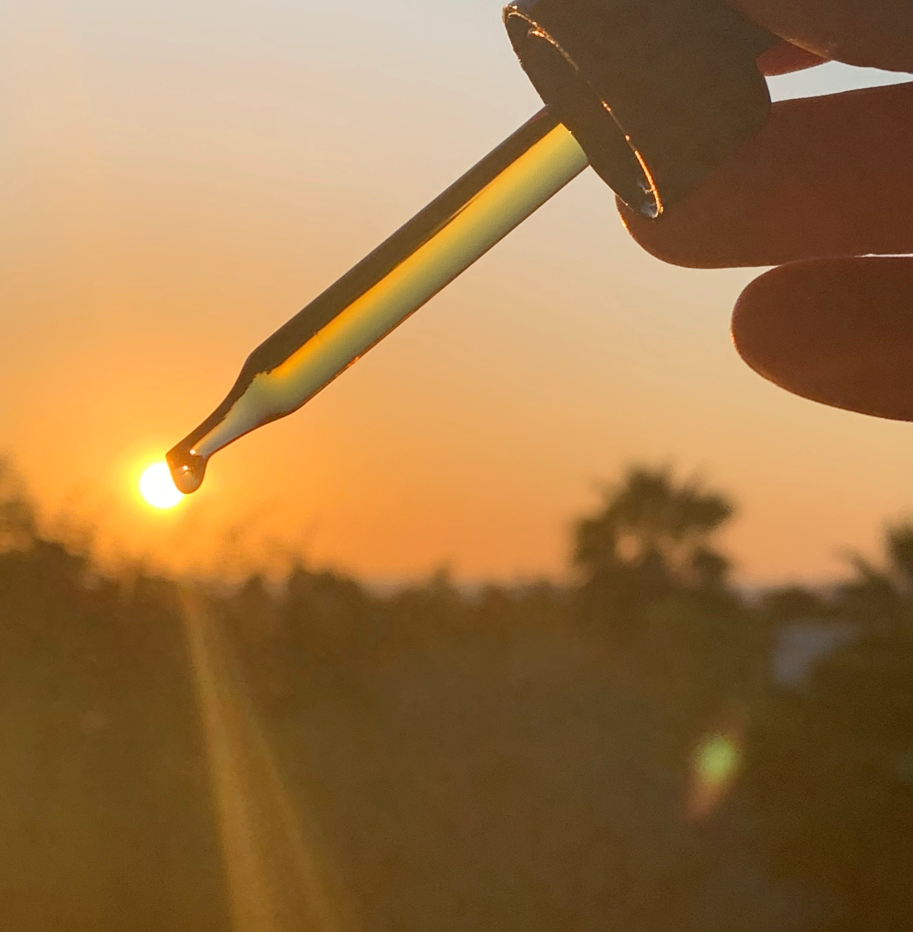 CBD + Stress: How CBD Supports Relaxation Without the High