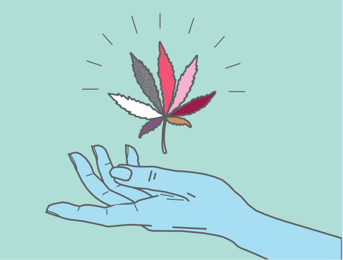 Endocannabinoid System Explained: Your Body’s Built-In Balance Keeper