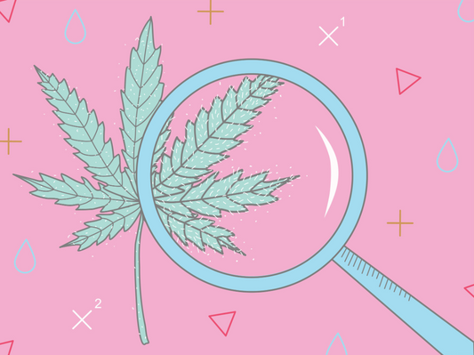Illustration of a hemp leaf under a magnifying glass on a pink background, symbolizing lab testing and product quality.