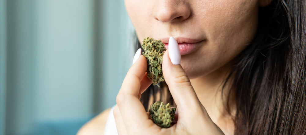 What Are Terpenes, and Do They Actually Do Anything?