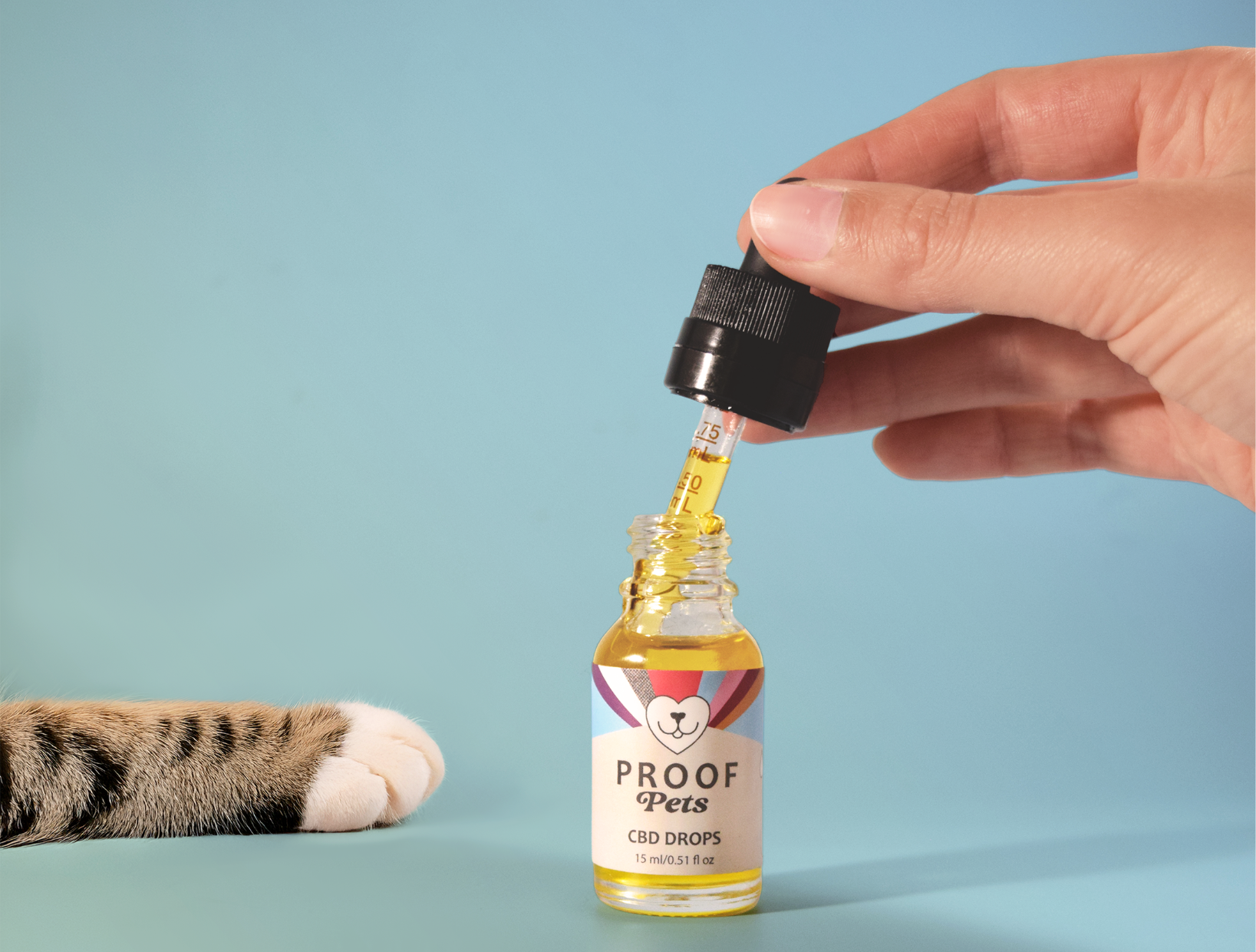 CBD for Cats: A Complete Guide to Safety, Benefits, and Dosing