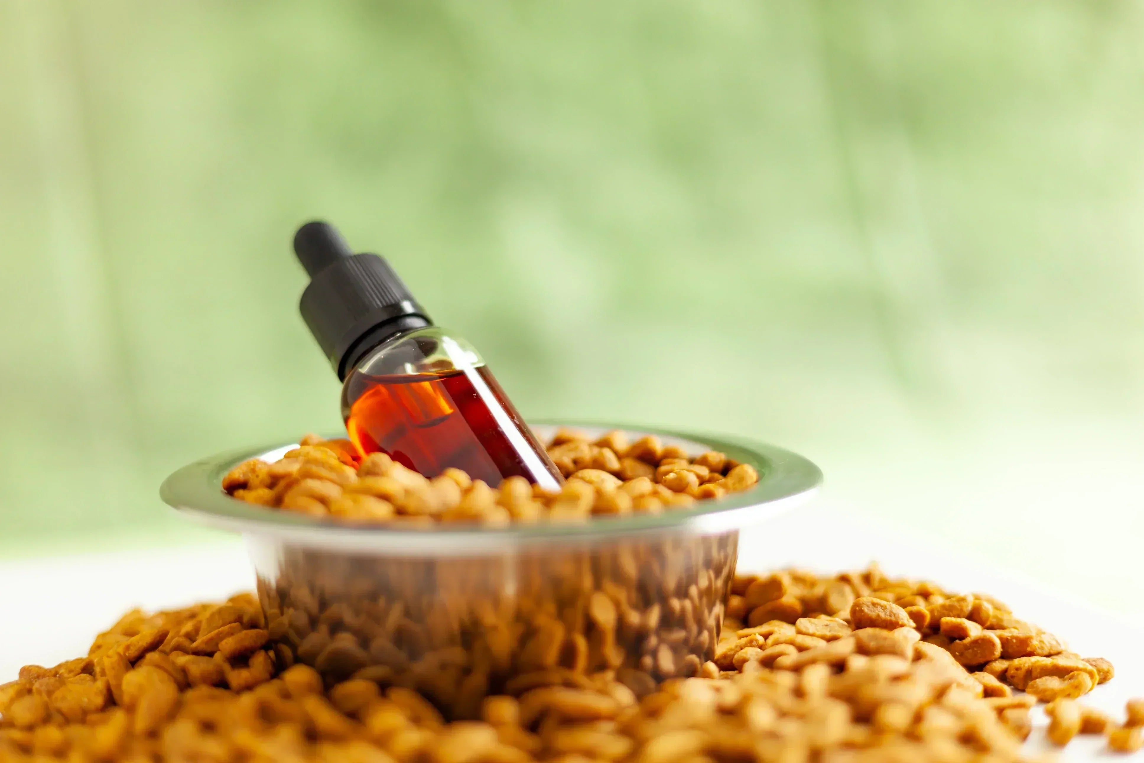 Is CBD Safe for Pets?