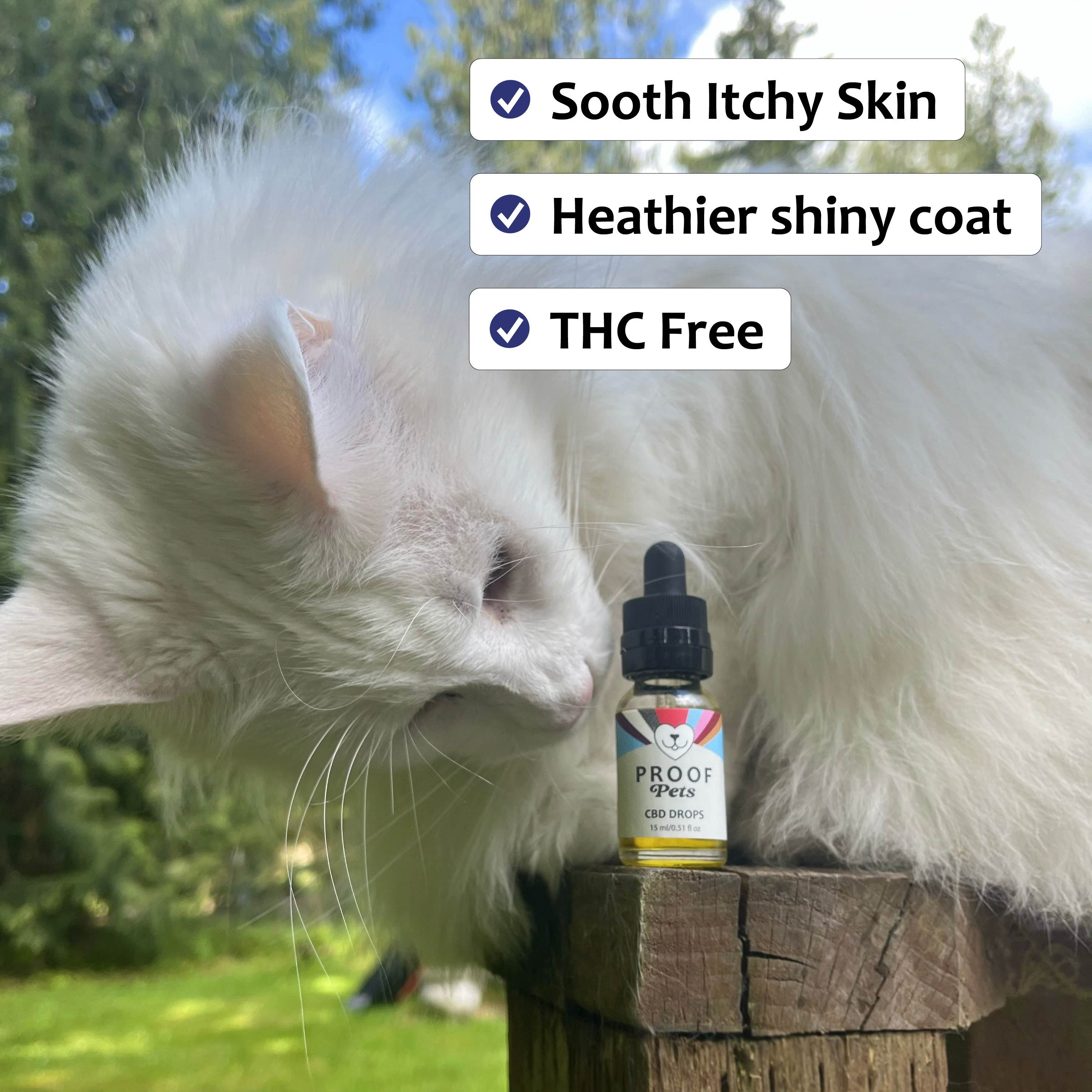 White cat outdoors sniffing Proof Pets CBD Drops bottle with 300 mg hemp for pet wellness and calm.