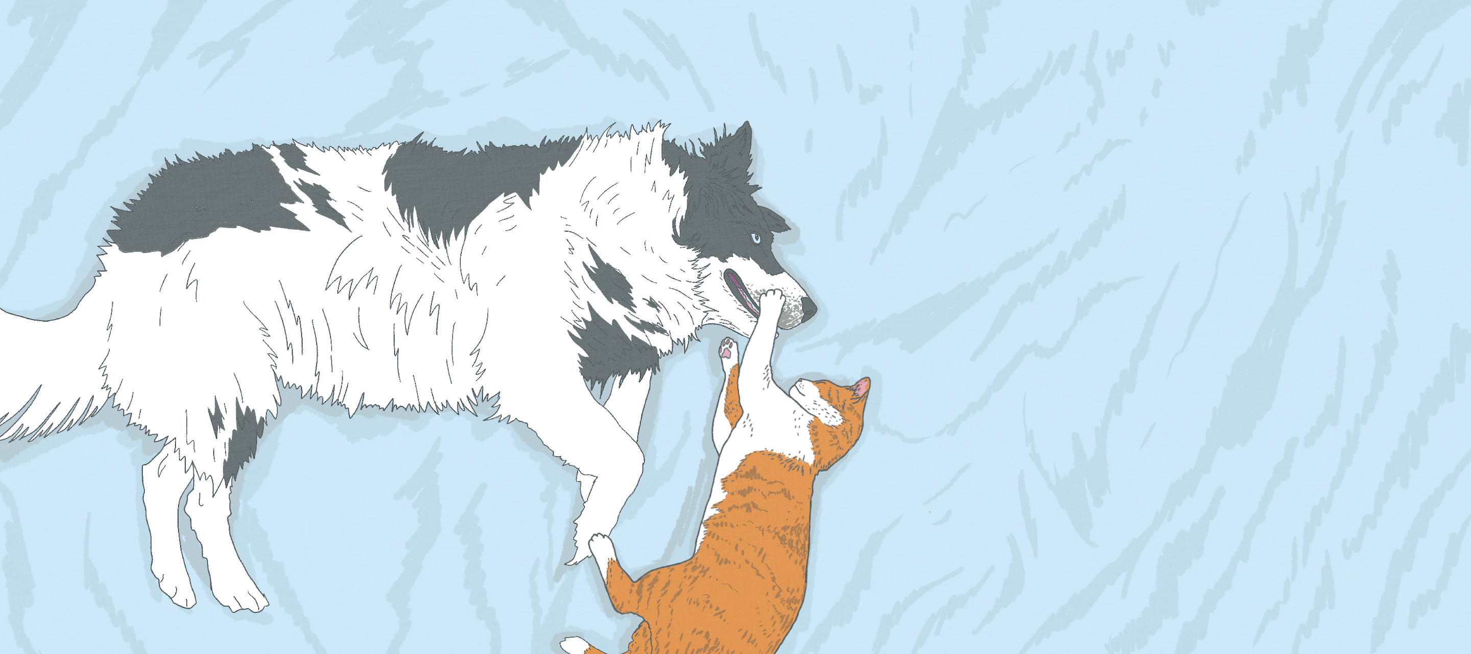 Illustration of cat and dog playing on the ground with a blue background.